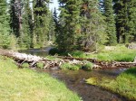 Smaller fork of Fall Creek.